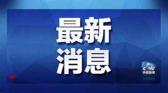 龙岗爆料新闻最新消息