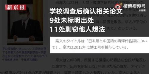 博士最新事件爆料,揭秘背后惊人真相
